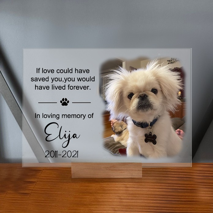 Custom Acrylic Photo Plaque In Loving Memory Of Memorial Gift for Pet Lovers