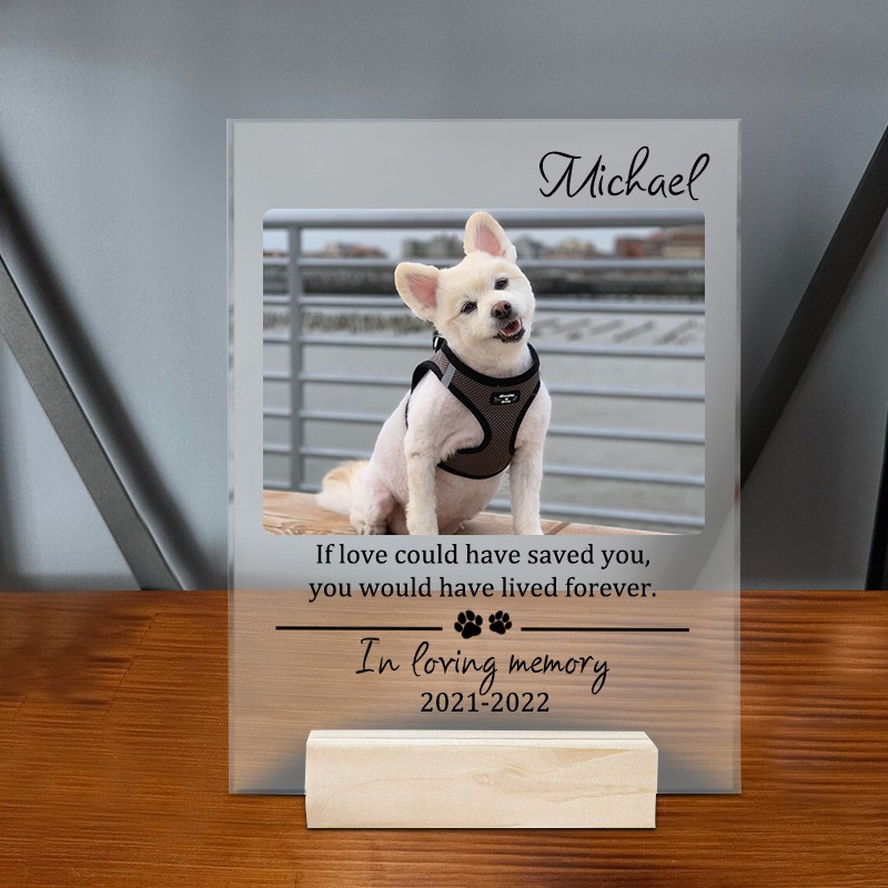 Custom Acrylic Photo Plaque You Would Have Lived Forever Memorial Gift for Pet Lover