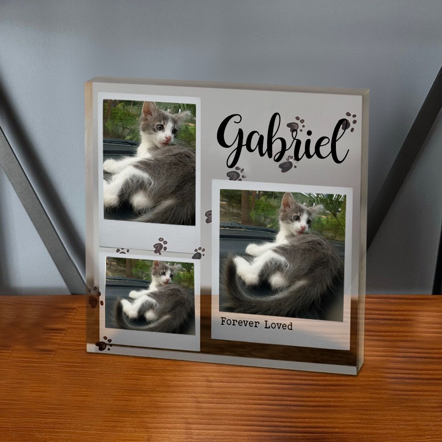 Custom Acrylic Photo Plaque Forever Loved Memorial Gift for Pet Lover