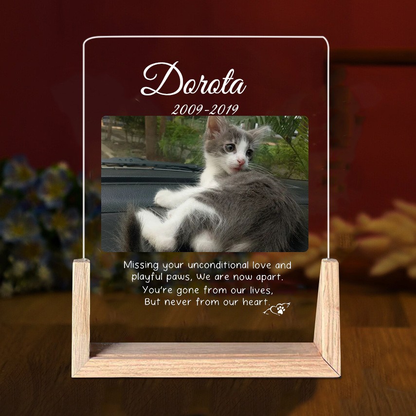 Custom Acrylic Photo Plaque Missing Your Unconditional Love And Naughty Paws Memorial Gift for Pet Lover