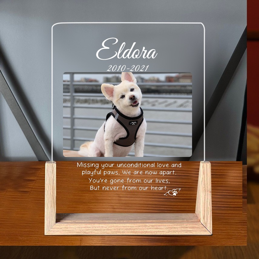 Custom Acrylic Photo Plaque Missing Your Unconditional Love And Naughty Paws Memorial Gift for Pet Lover